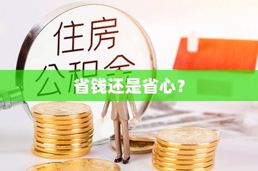 大姚省钱还是省心？