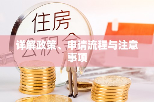 大姚详解政策、申请流程与注意事项