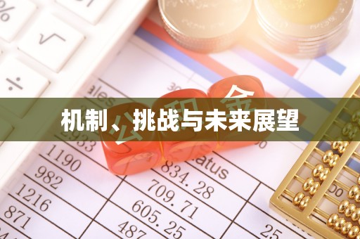 大姚机制、挑战与未来展望