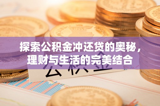 大姚探索公积金冲还贷的奥秘，理财与生活的完美结合