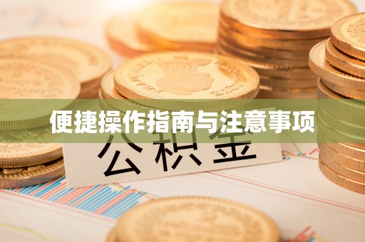 大姚便捷操作指南与注意事项